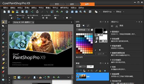 PaintShop Pro 2025 Latest Version Download
